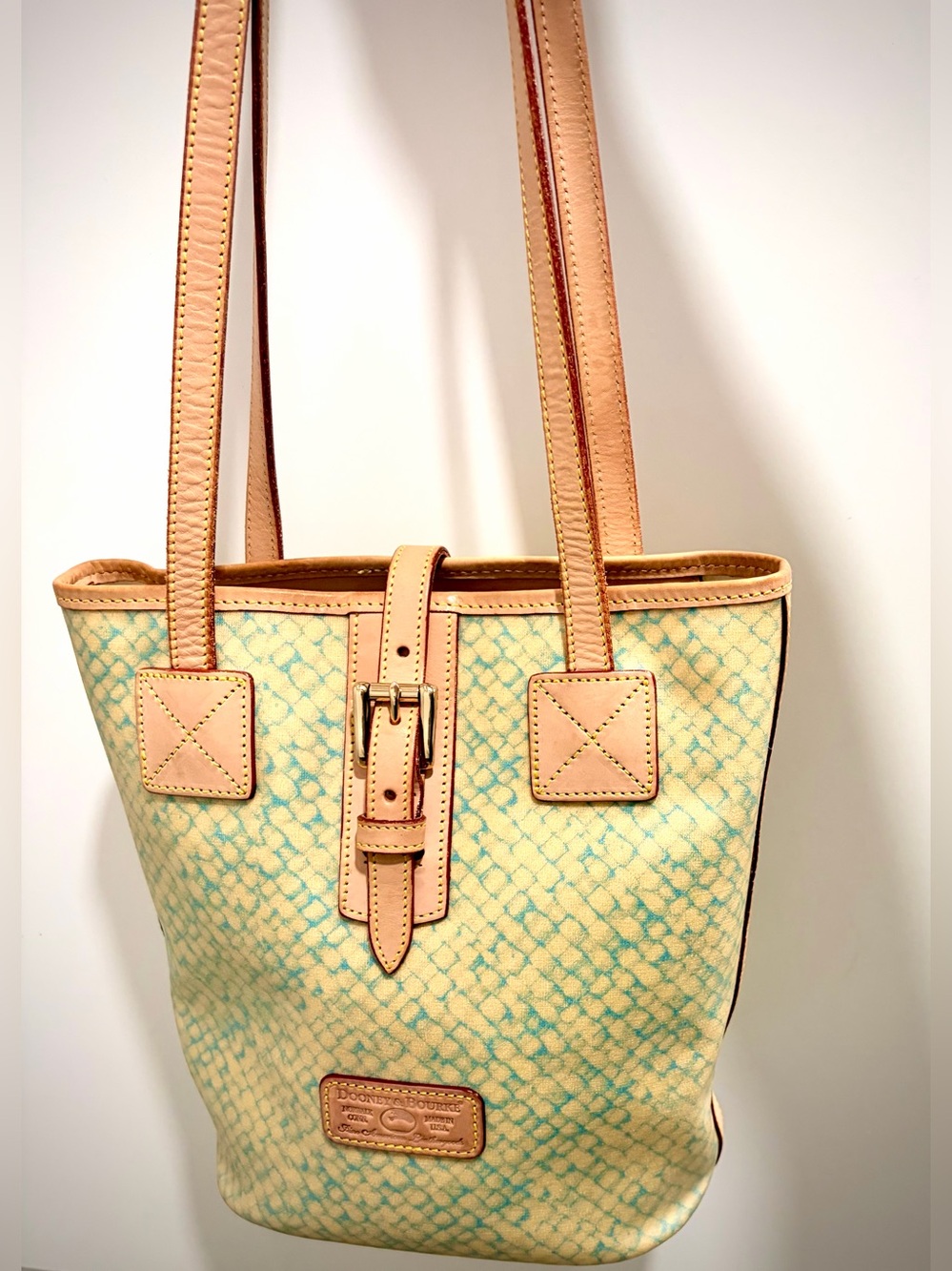 Dooney & Bourke Beige and Mint Patterned Leather-Trim Tote